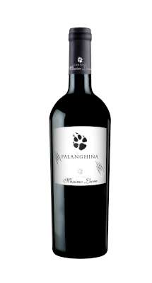 Massimo Leone Falanghina Puglia IGT 75cl