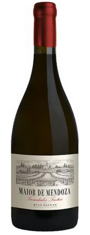Maior de Mendoza Variedades Tintas DO Rias Baixas 75