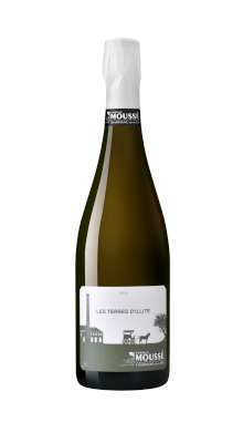 Famille Mousse Champagne Terre d'Illite 75cl