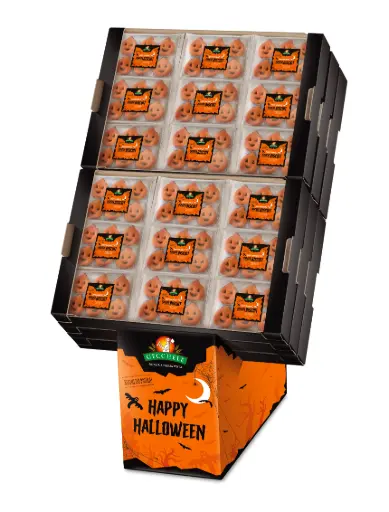 [gecsh105] Gecchele Halloween Horror Biscuit 165g Display